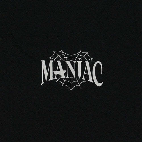 STRAY KIDS MANIAC LONG SLEEV
