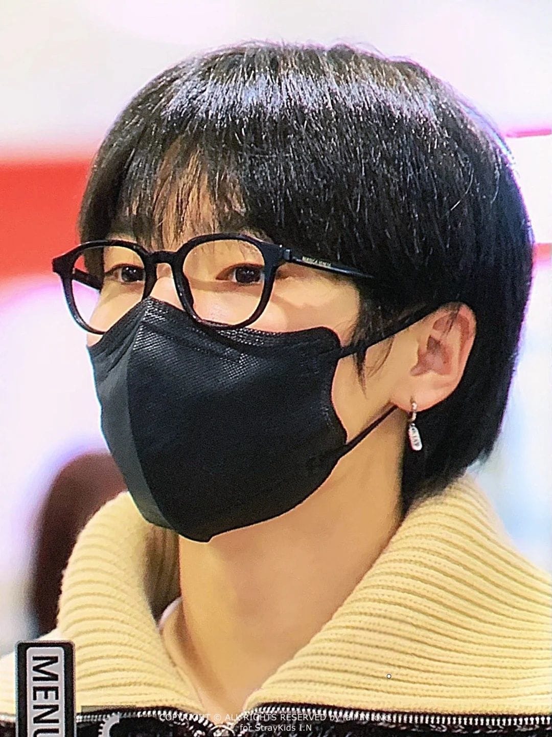 STRAY KIDS STAY&I.N. EARRINGS (pair)